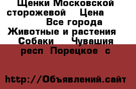 Щенки Московской сторожевой  › Цена ­ 25 000 - Все города Животные и растения » Собаки   . Чувашия респ.,Порецкое. с.